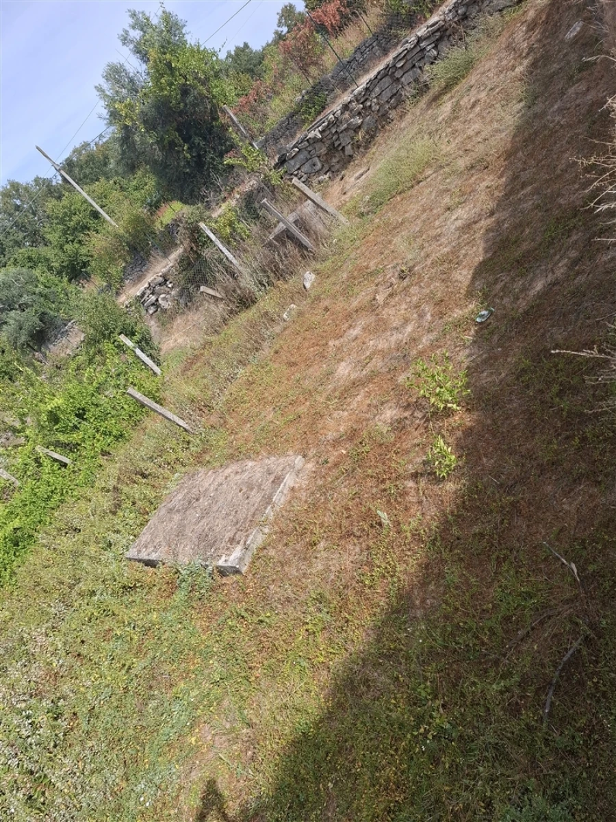 Moradia T3 para Venda em Vila do Touro Foto 23