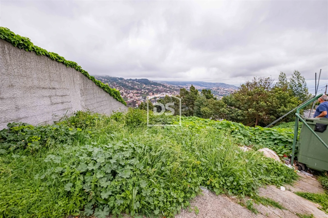 Terreno para Venda em Estreito de Camara de Lobos Foto 9