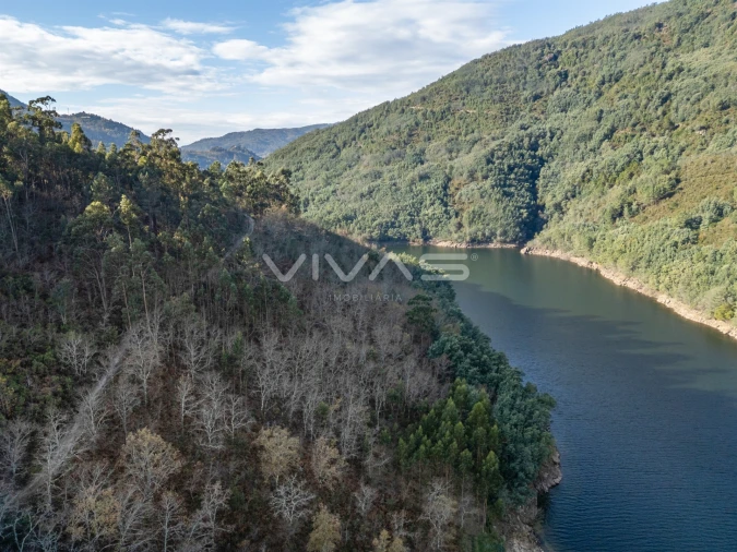 Terreno para Venda em Louredo Foto 8