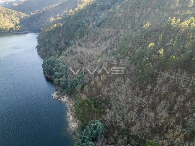 Terreno para Venda em Louredo Foto 11