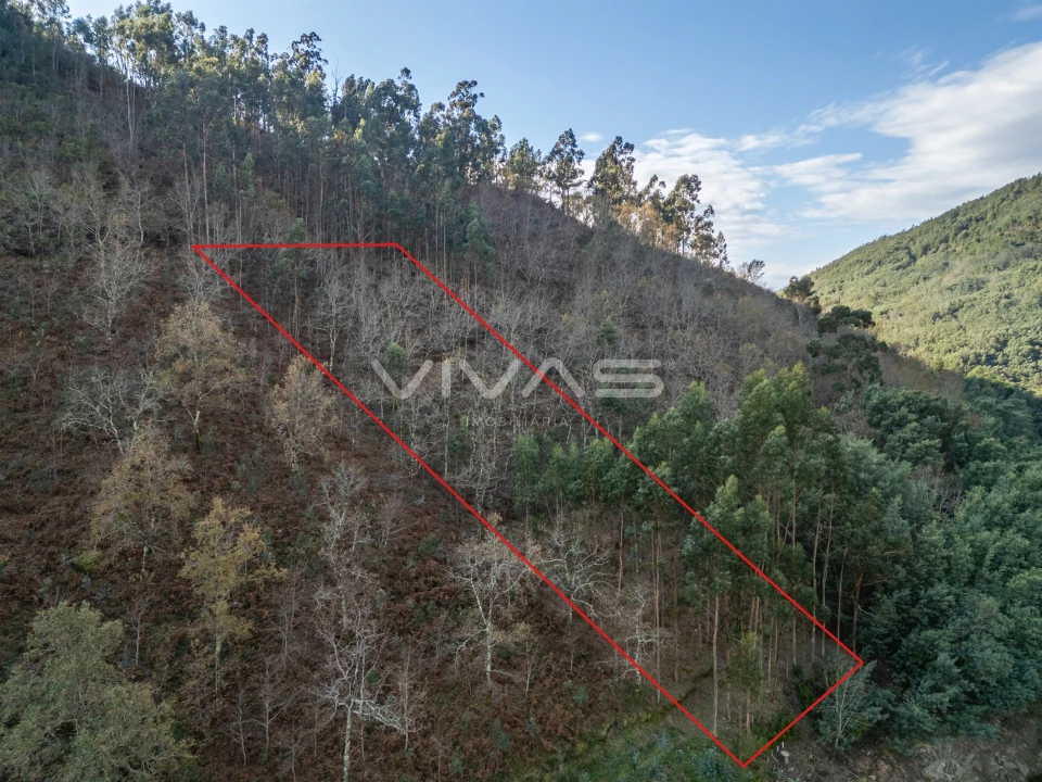 Terreno para Venda em Louredo Foto 6