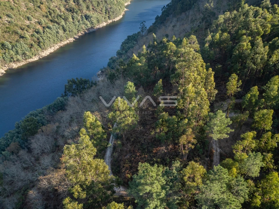 Terreno para Venda em Louredo Foto 8