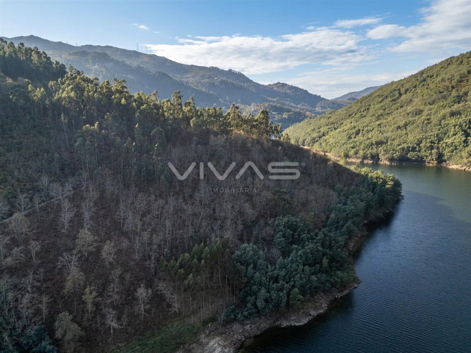 Terreno para Venda em Louredo Foto 11