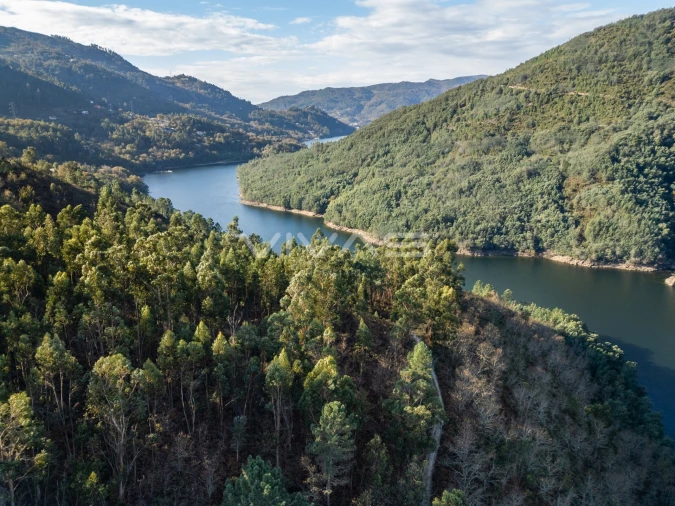 Terreno para Venda em Louredo Foto 10