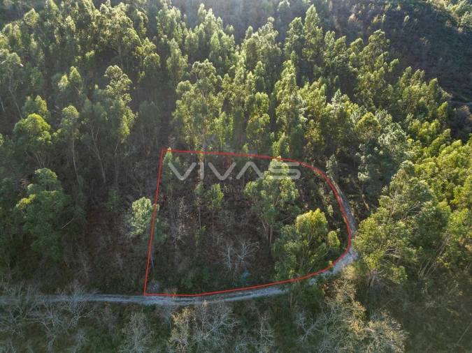 Terreno para Venda em Louredo Foto 1