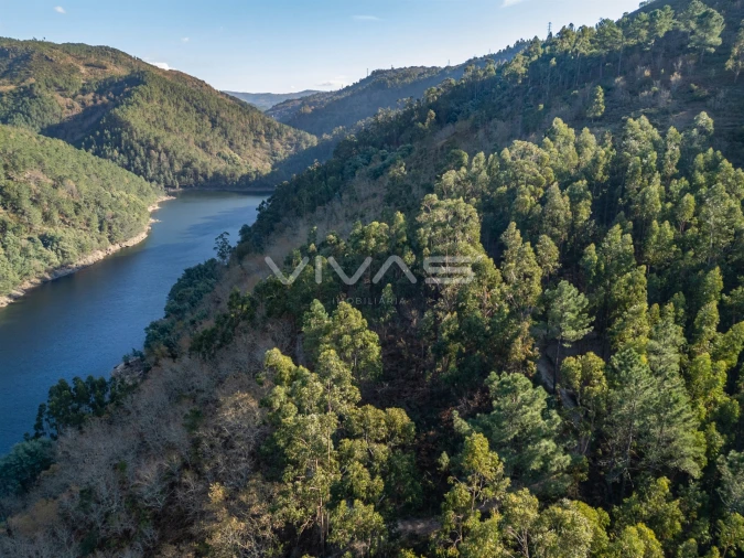 Terreno para Venda em Louredo Foto 7