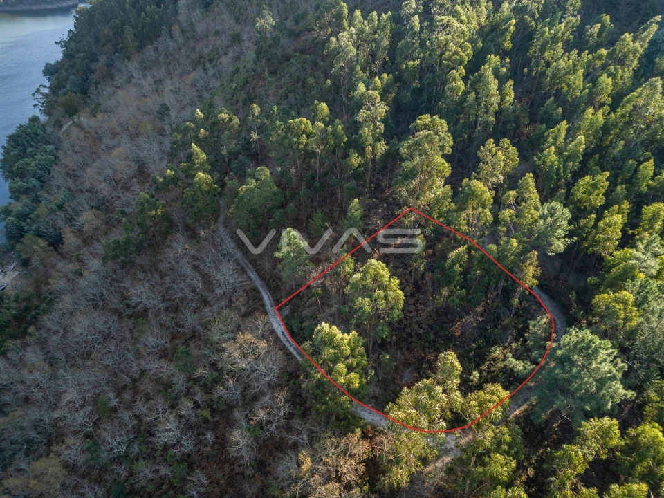 Terreno para Venda em Louredo Foto 5