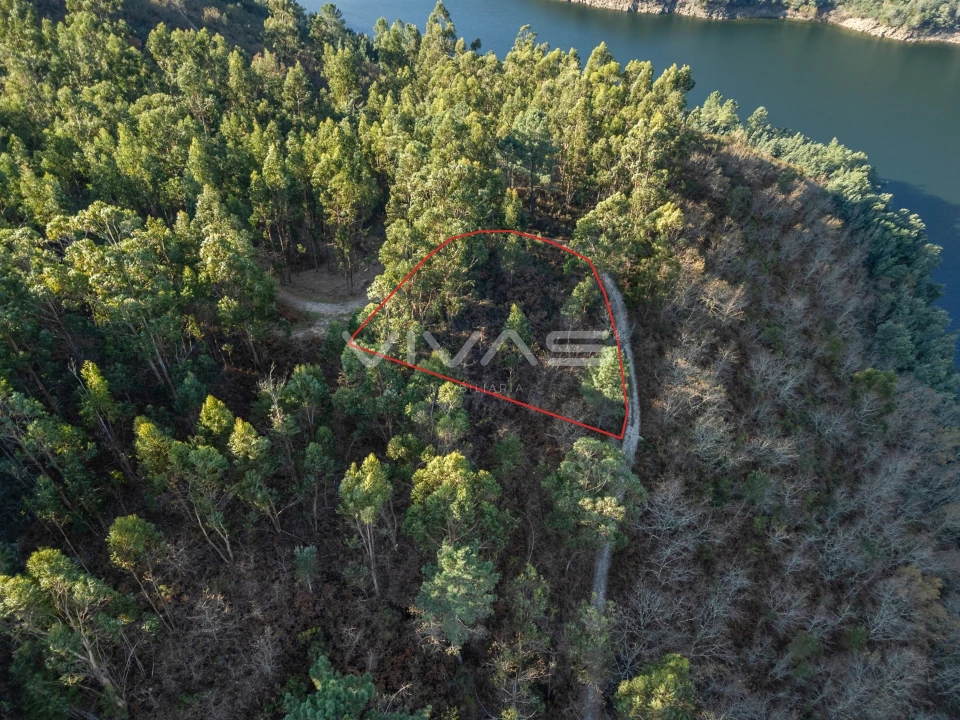 Terreno para Venda em Louredo Foto 6