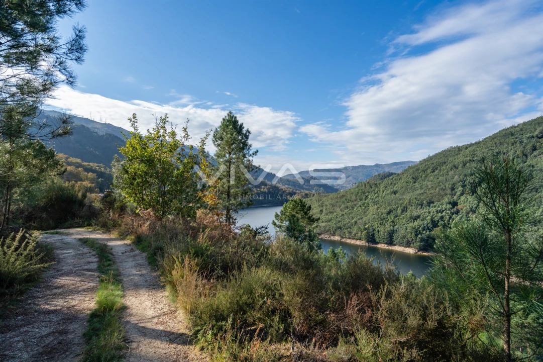 Terreno para Venda em Louredo Foto 20