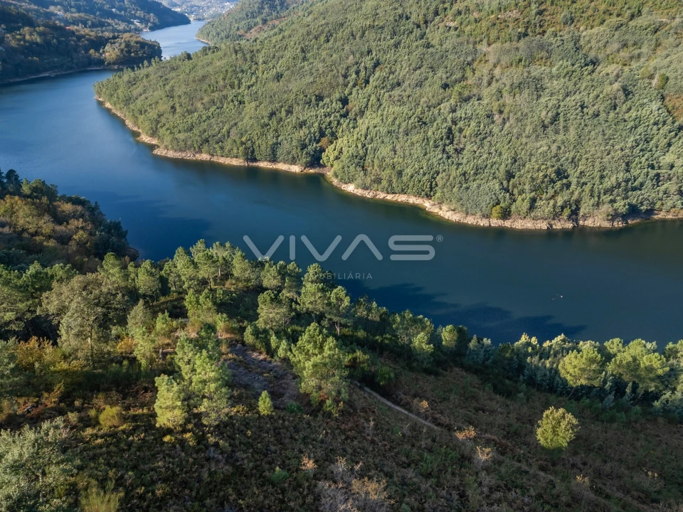 Terreno para Venda em Louredo Foto 17