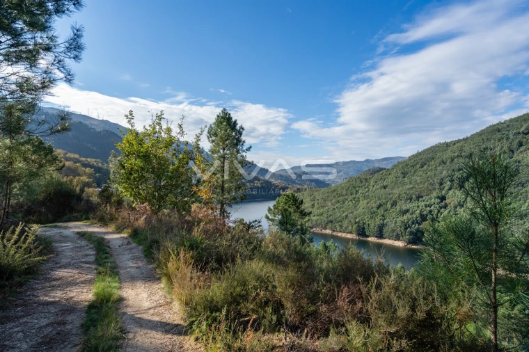 Terreno para Venda em Louredo Foto 20
