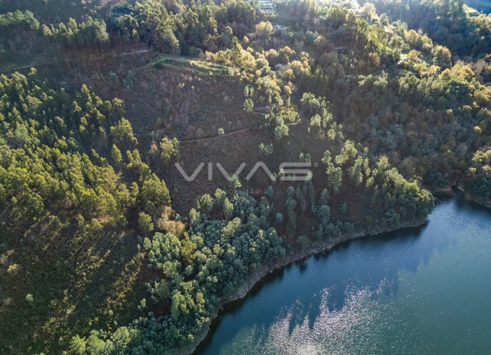 Terreno para Venda em Louredo Foto 8