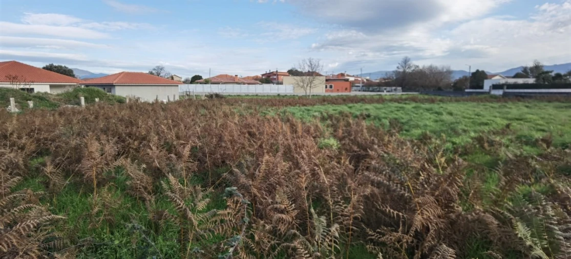 Terreno para Venda em Campos e Vila Meã Foto 4