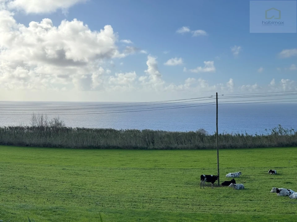 Terreno para Venda em Relva Foto 7