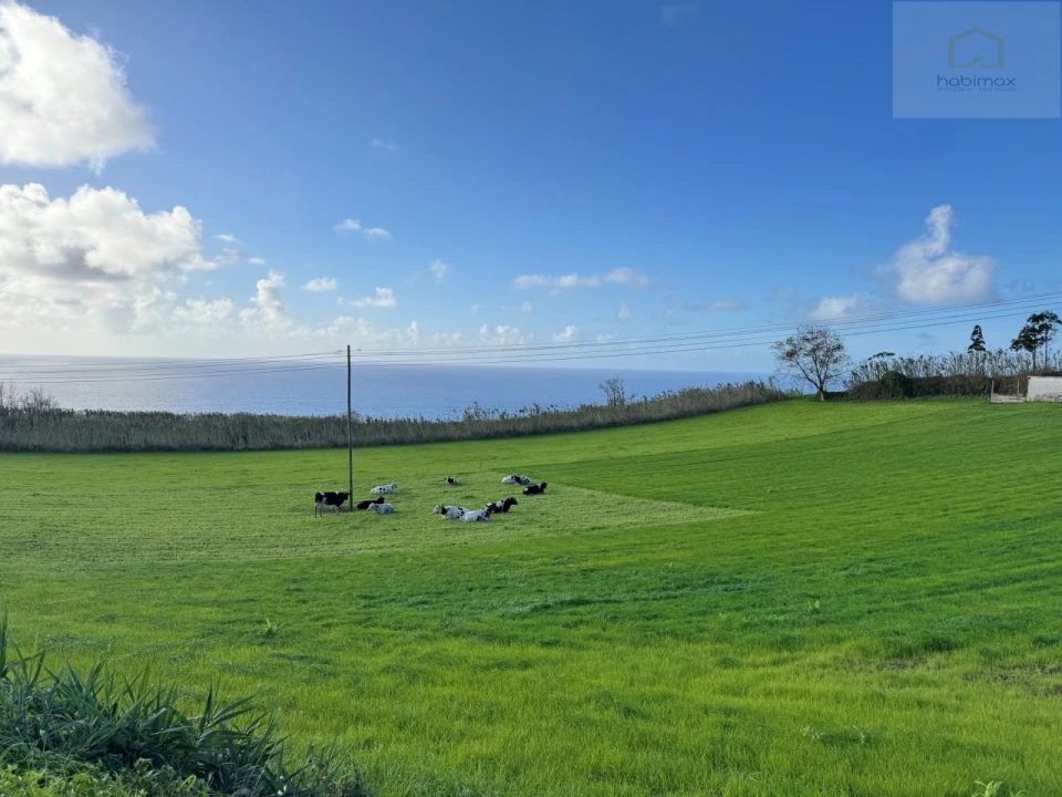 Terreno para Venda em Relva Foto 8