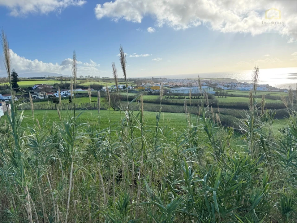Terreno para Venda em Relva Foto 15