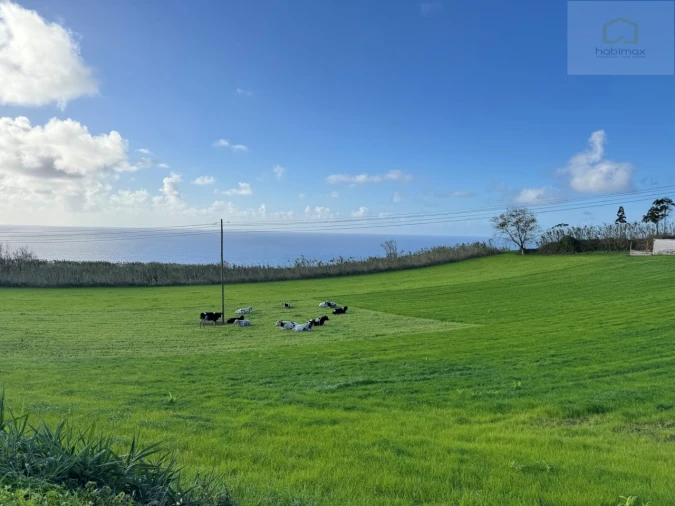 Terreno para Venda em Relva Foto 8