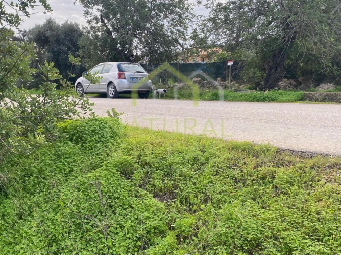 Terreno Agricola ou Rústico para Venda em Conceição e Estoi Foto 2