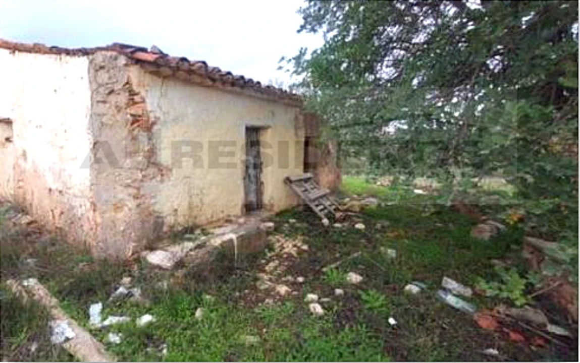 Terreno para Venda em Ferreiras Foto 2