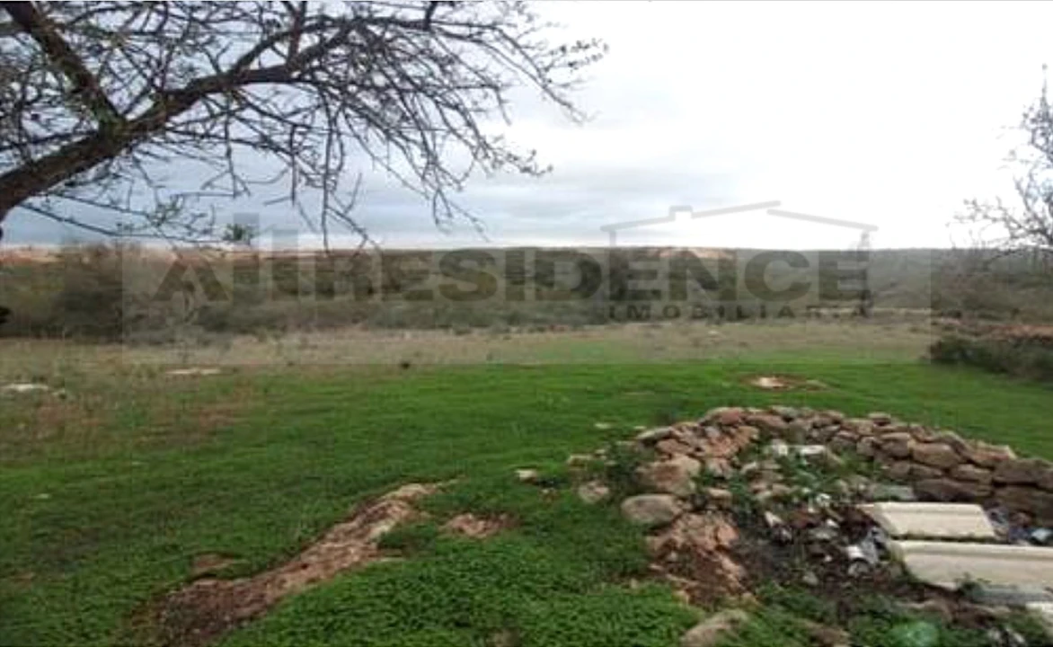 Terreno para Venda em Ferreiras Foto 7