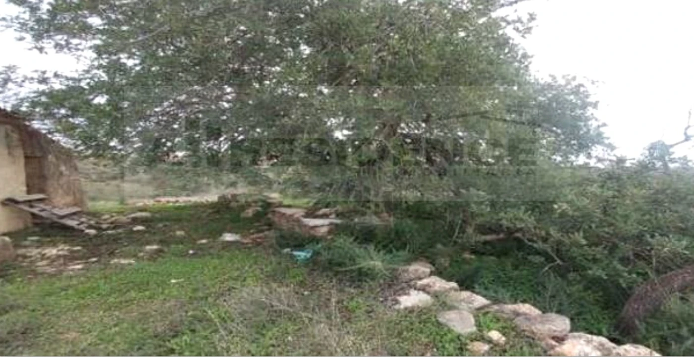 Terreno para Venda em Ferreiras Foto 8