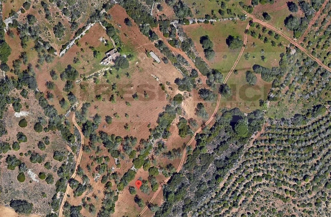 Terreno para Venda em Ferreiras Foto 9