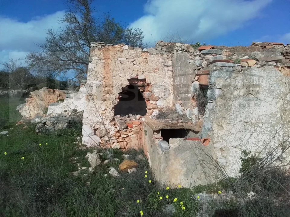 Terreno para Venda em Ferreiras Foto 4