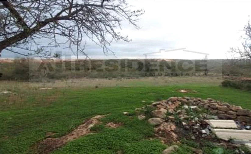 Terreno para Venda em Ferreiras Foto 7