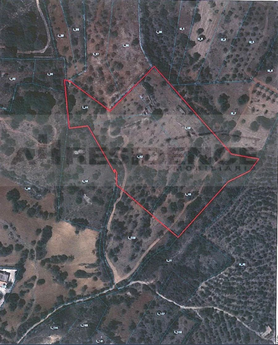 Terreno para Venda em Ferreiras Foto 5