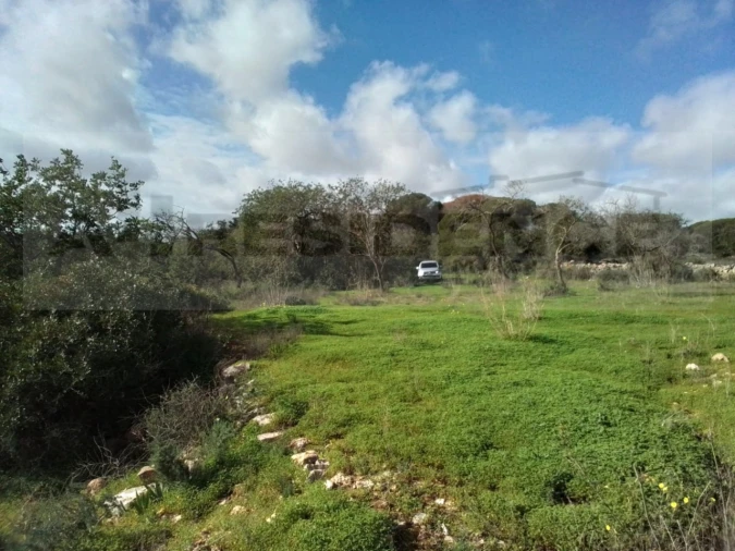 Terreno para Venda em Ferreiras Foto 12