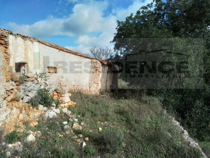 Terreno para Venda em Ferreiras