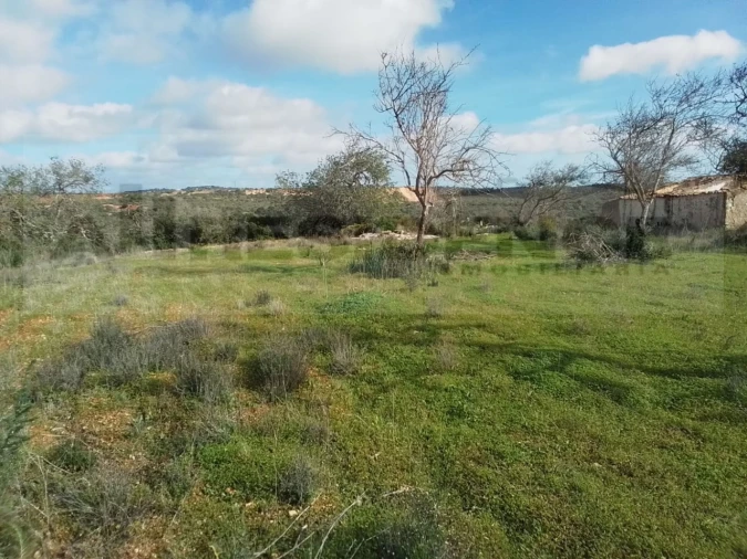 Terreno para Venda em Ferreiras Foto 3