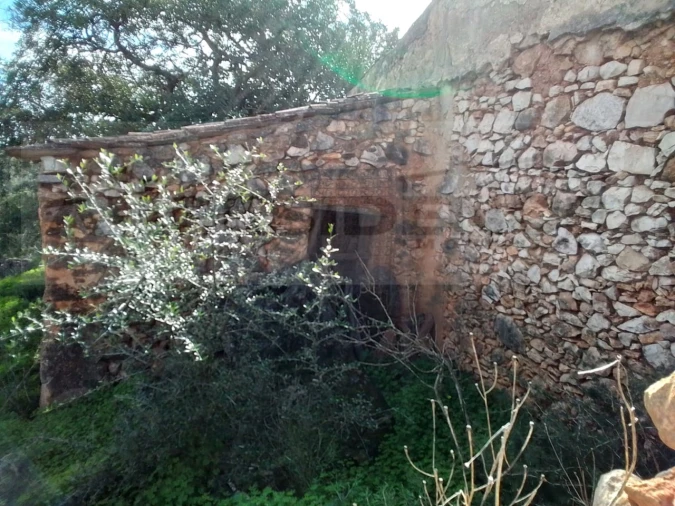 Terreno para Venda em Ferreiras Foto 24