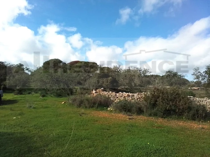 Terreno para Venda em Ferreiras Foto 25