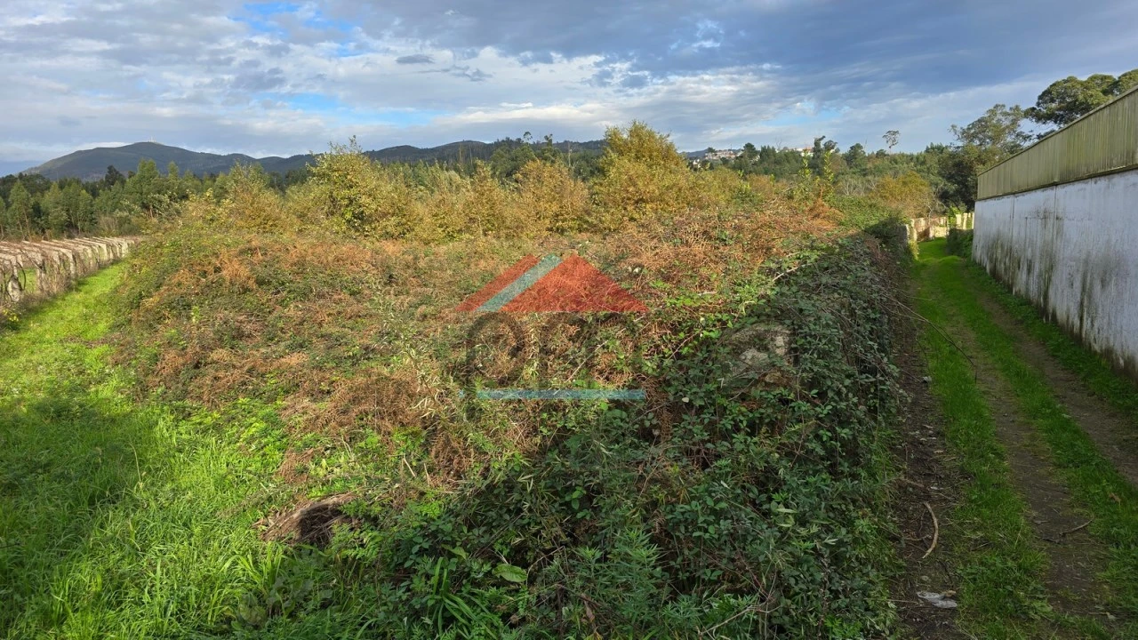 Terreno Agricola ou Rústico para Venda em Bela Foto 1