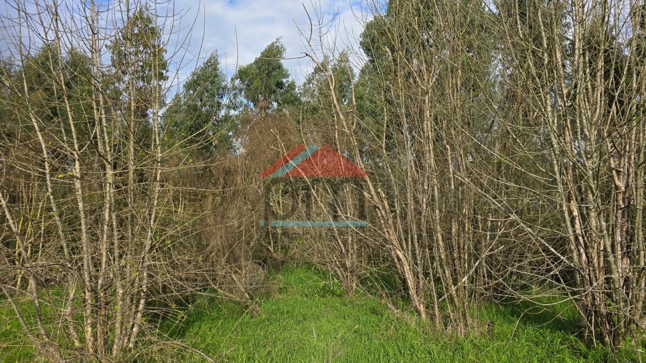 Terreno Agricola ou Rústico para Venda em Bela Foto 7