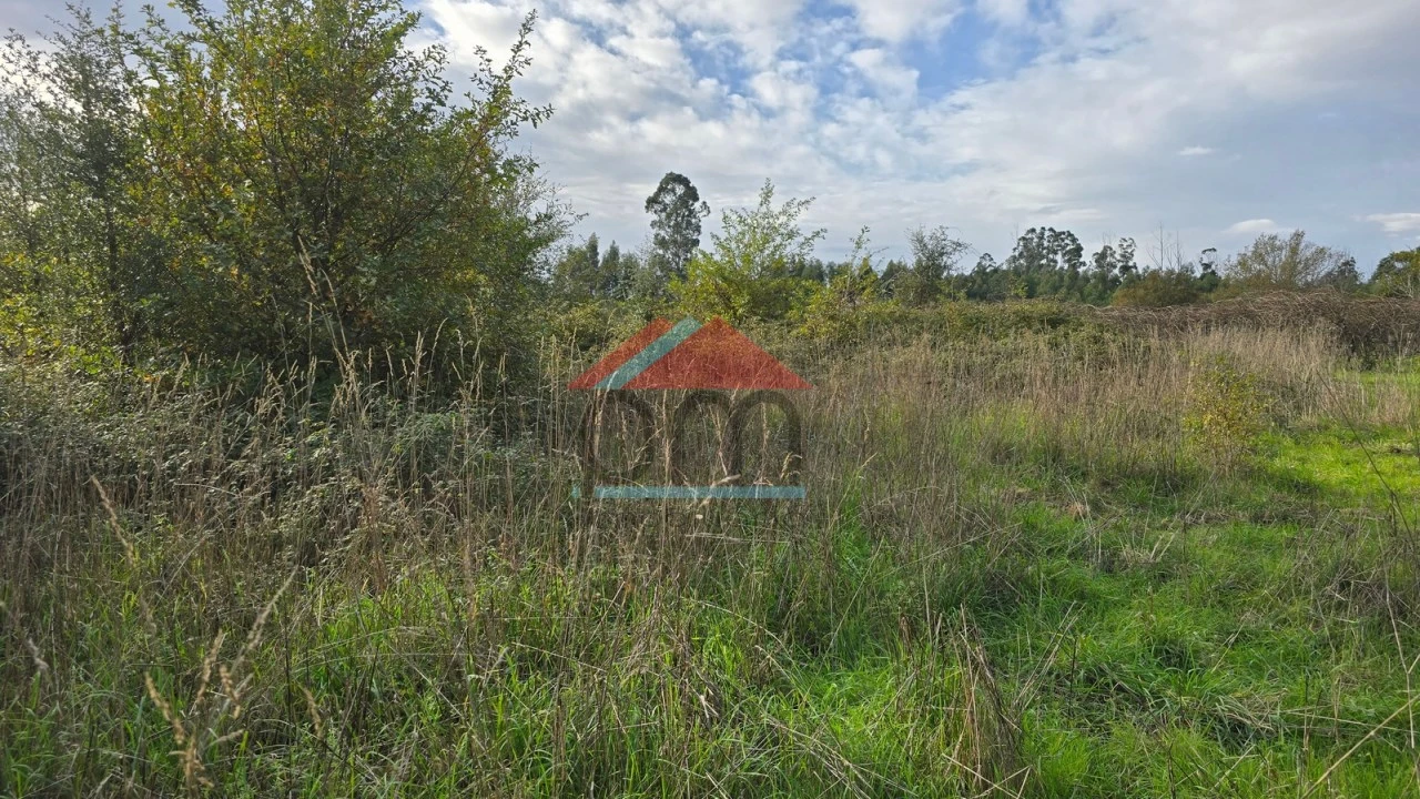 Terreno Agricola ou Rústico para Venda em Bela Foto 8