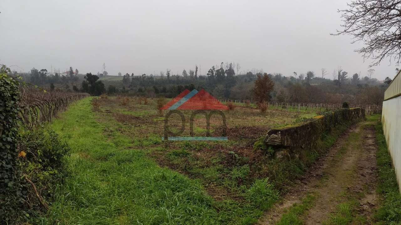 Terreno Agricola ou Rústico para Venda em Bela Foto 9