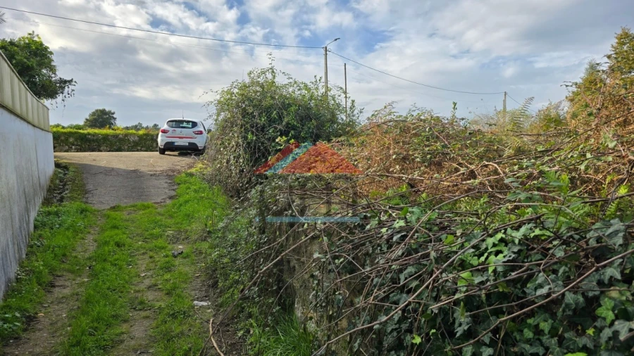Terreno Agricola ou Rústico para Venda em Bela Foto 2