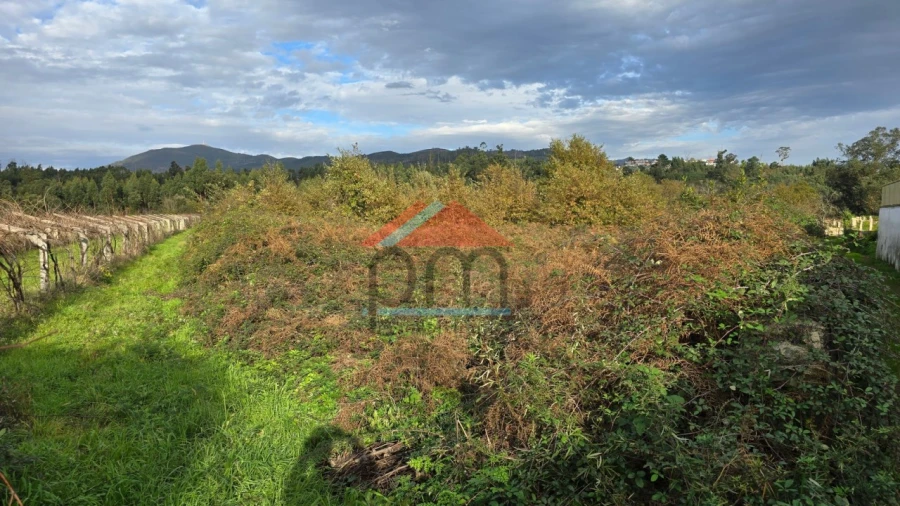 Terreno Agricola ou Rústico para Venda em Bela Foto 3