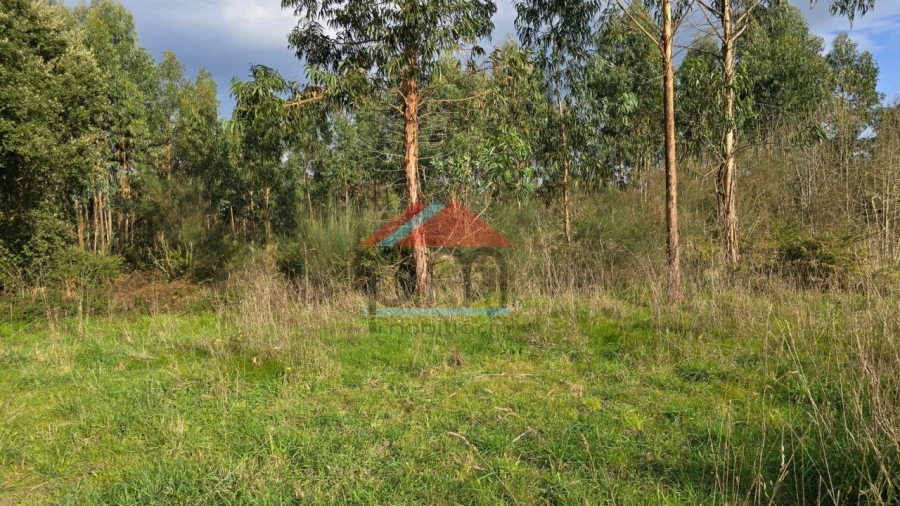 Terreno Agricola ou Rústico para Venda em Bela Foto 6