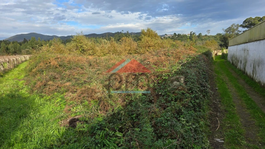 Terreno Agricola ou Rústico para Venda em Bela