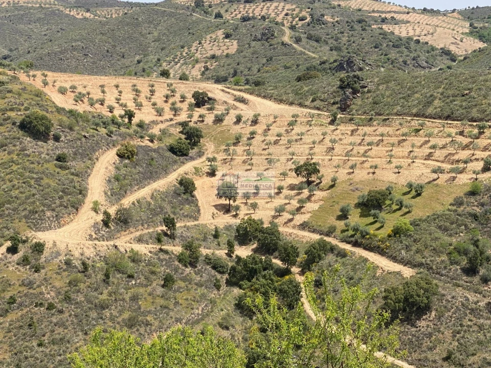 Quinta para Venda em Eucisia, Gouveia e Valverde Foto 1