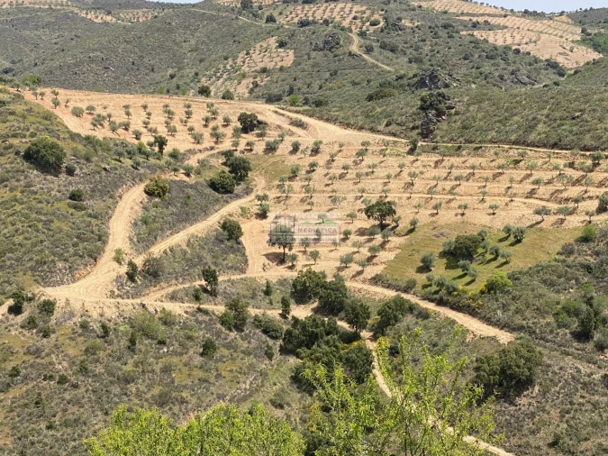 Quinta para Venda em Eucisia, Gouveia e Valverde Foto 1