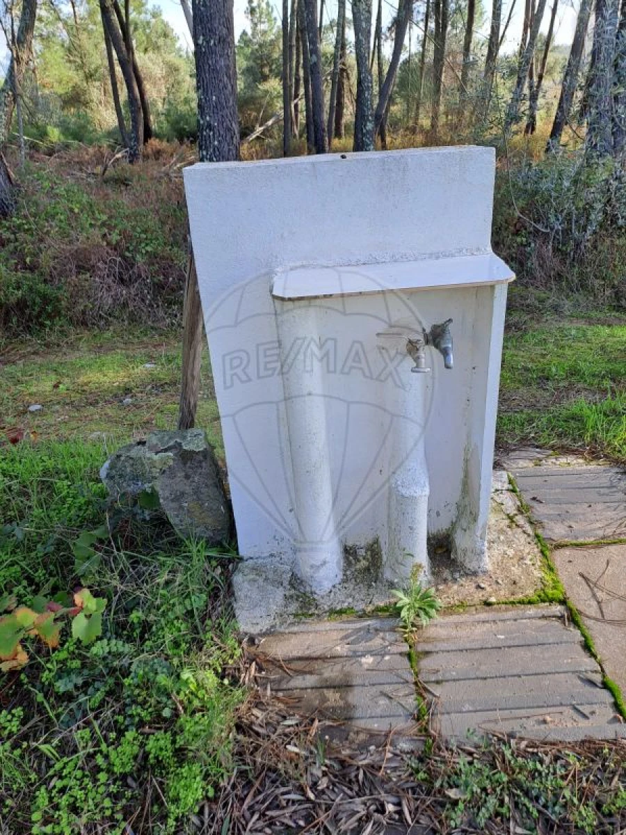 Terreno para Venda em Mação, Penhascoso e Aboboreira Foto 14