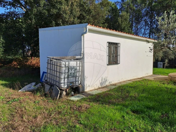 Terreno para Venda em Mação, Penhascoso e Aboboreira Foto 13