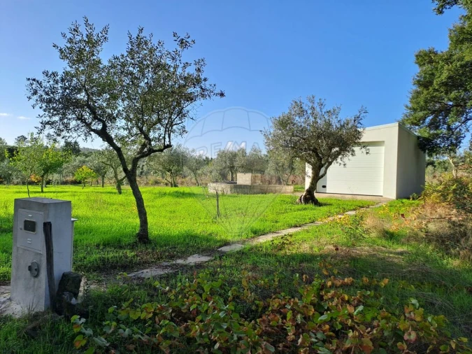 Terreno para Venda em Mação, Penhascoso e Aboboreira Foto 1