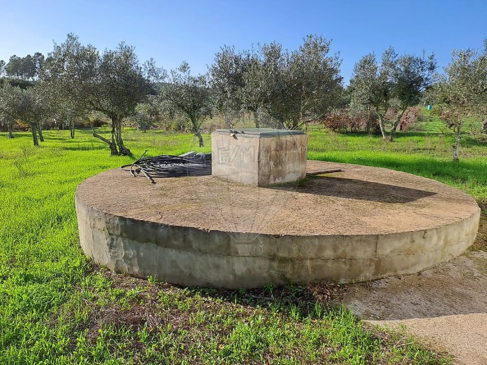 Terreno para Venda em Mação, Penhascoso e Aboboreira Foto 12