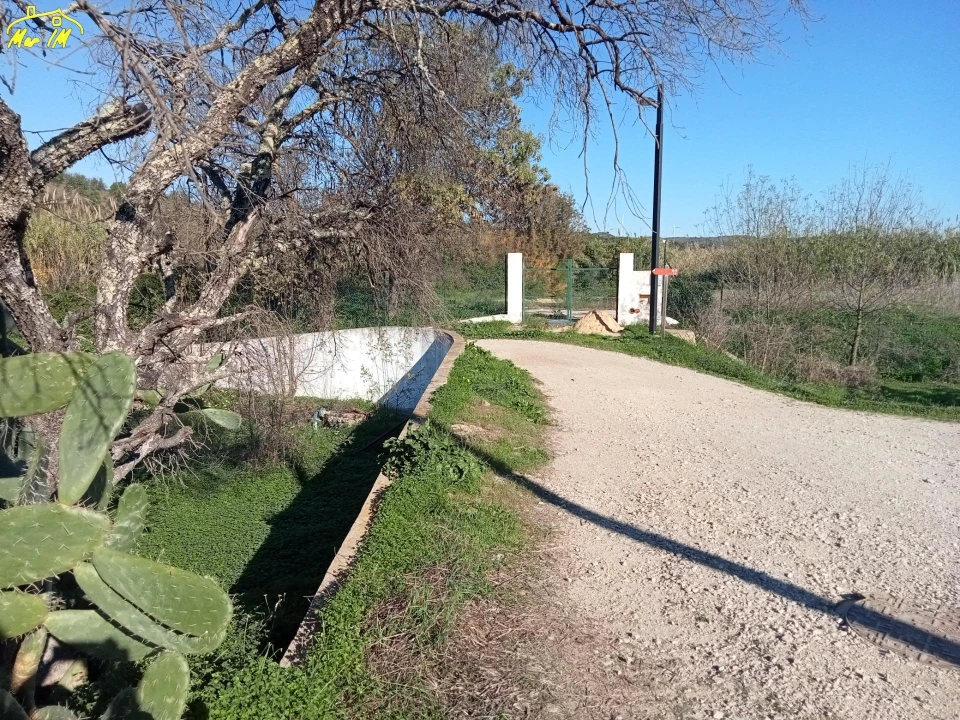 Terreno Agricola ou Rústico para Venda em Azinhal Foto 12