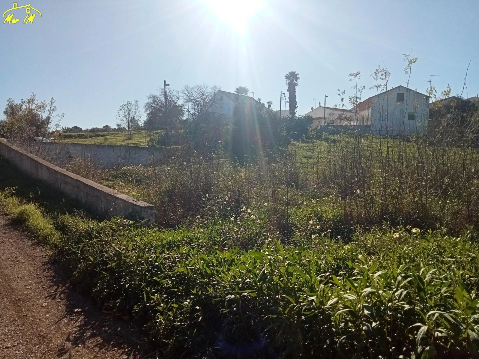 Terreno Agricola ou Rústico para Venda em Azinhal Foto 18